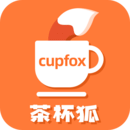CUPFOX 茶杯狐