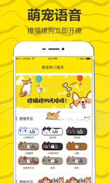 猫语app下载截图