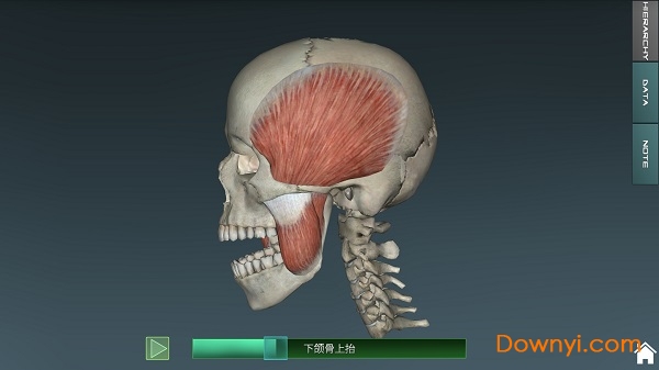 万康人体解剖3D截图