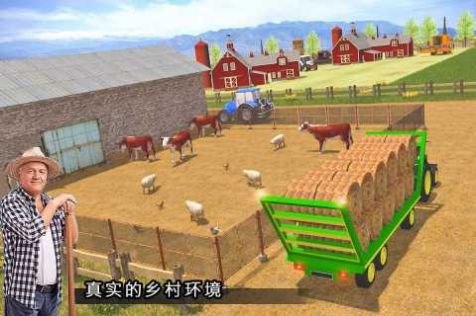农业和市场模拟截图