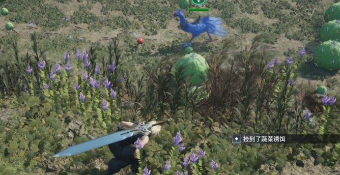 《最终幻想7》重生陆行鸟道的精髓任务怎么做